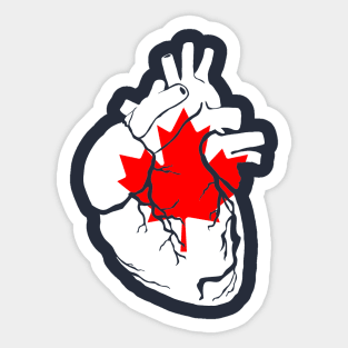 Anatomical heart design, Canadian flag Sticker